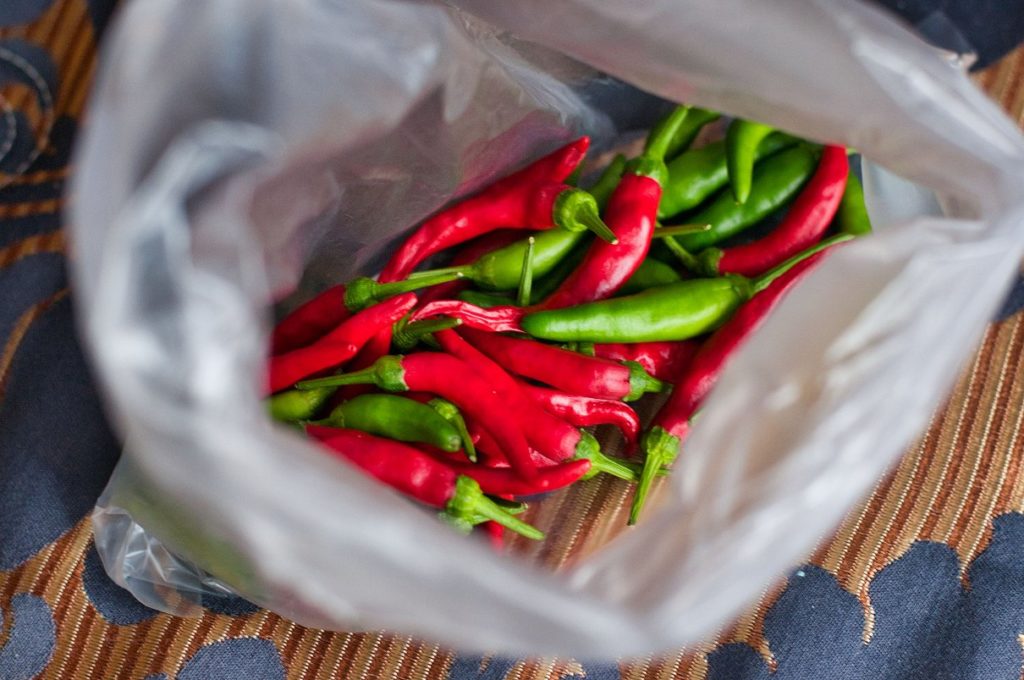 収穫した唐辛子