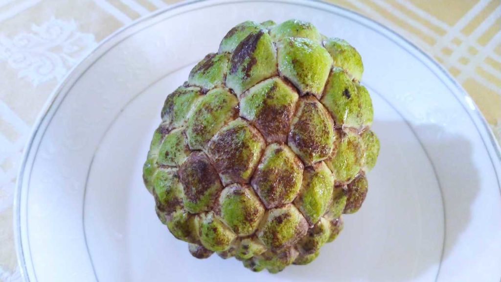 熟したバンレイシ