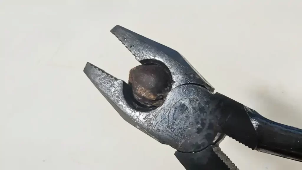 杏（アプリコット）の種をペンチで割っているところ