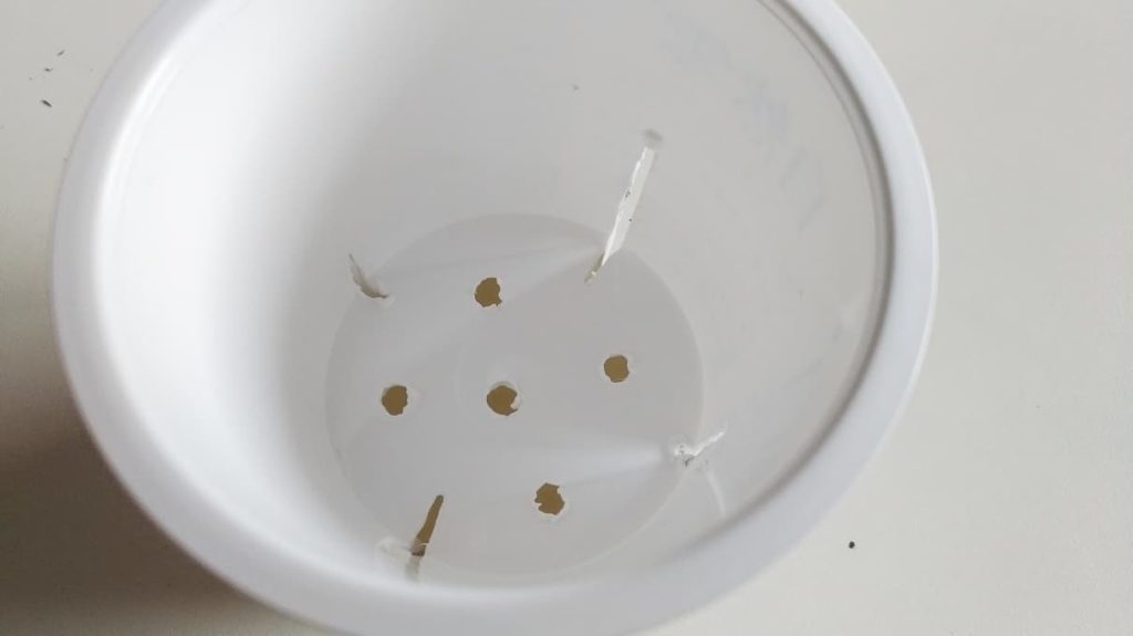 ヨーグルトカップを利用した植木鉢