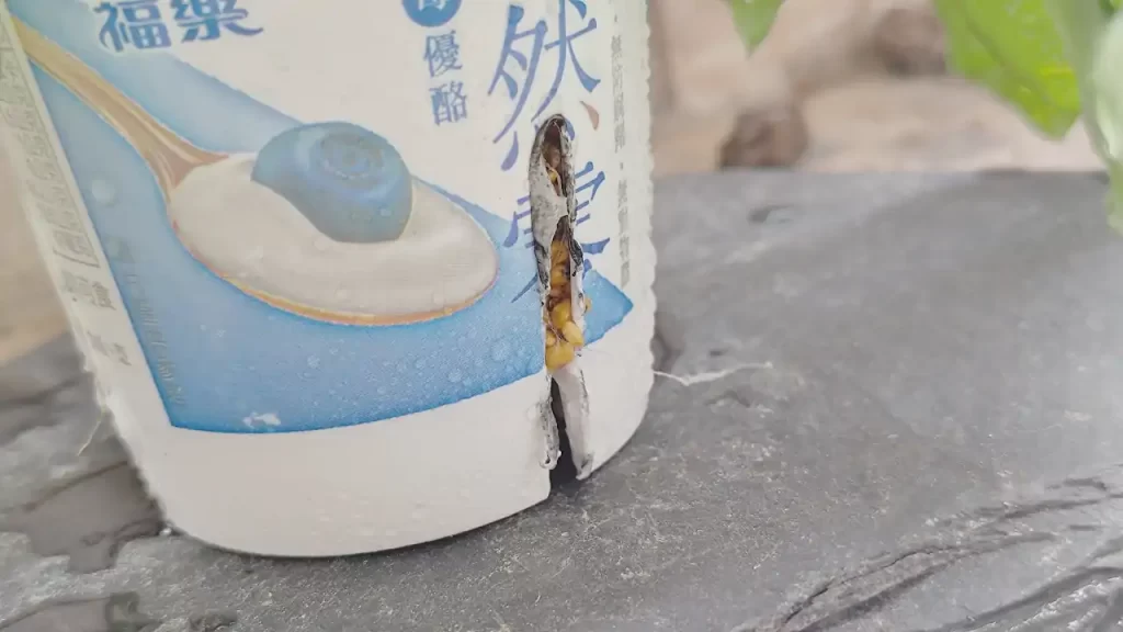 ヨーグルトで作った植木鉢に入れたスリット